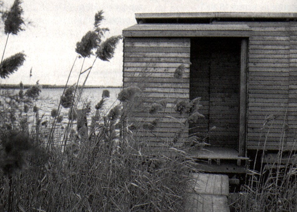 Observatoire dans les marais du Vigueirat